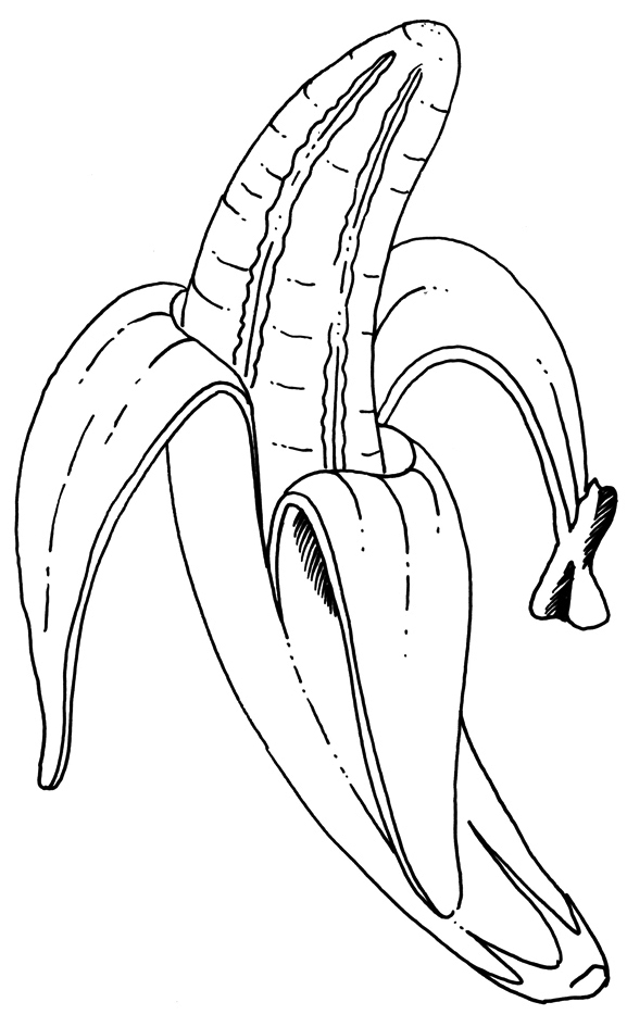 fruit banana peel